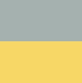 Light Grey & Yellow