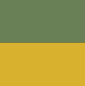 Olive & Gold Yellow