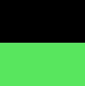 Black & Neon Green