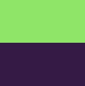 Lime Green & Dark Purple