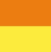 Neon Orange & Neon Yellow