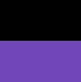 Black & Purple