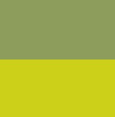 Jungle Green & Acid Yellow